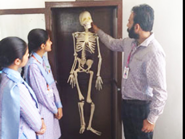 Biology Lab 4
