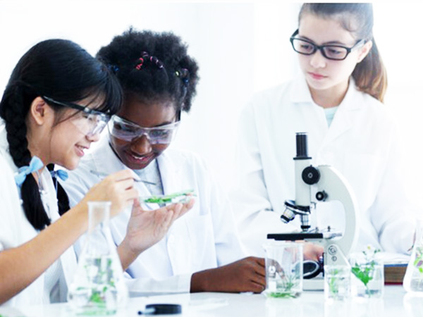 Biology Lab 6